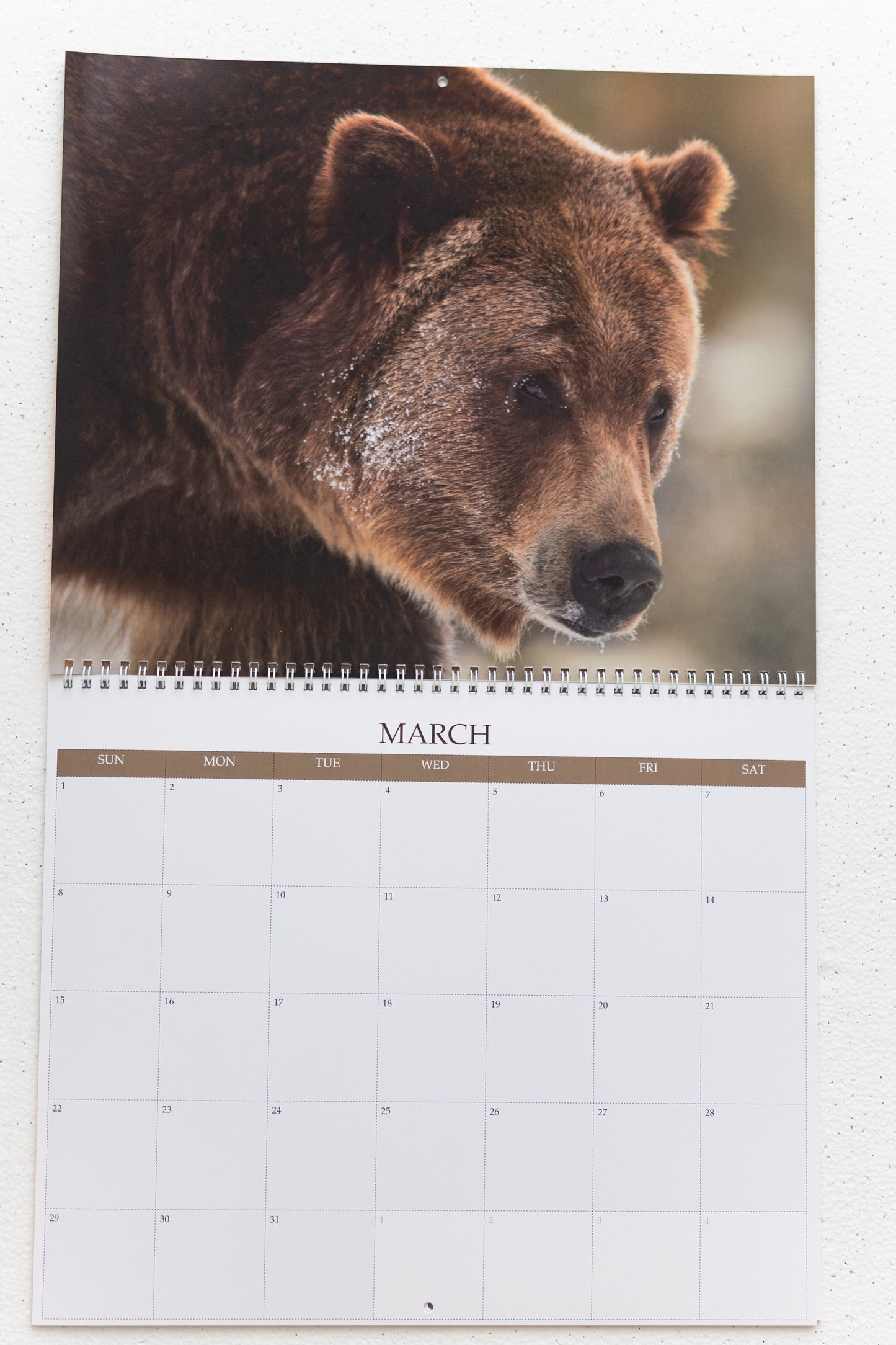2026 Montana Calendar with Photographs from Brian Powers