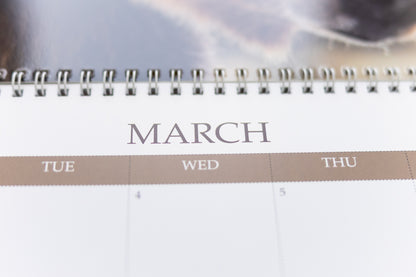 2026 Montana Calendar with Photographs from Brian Powers