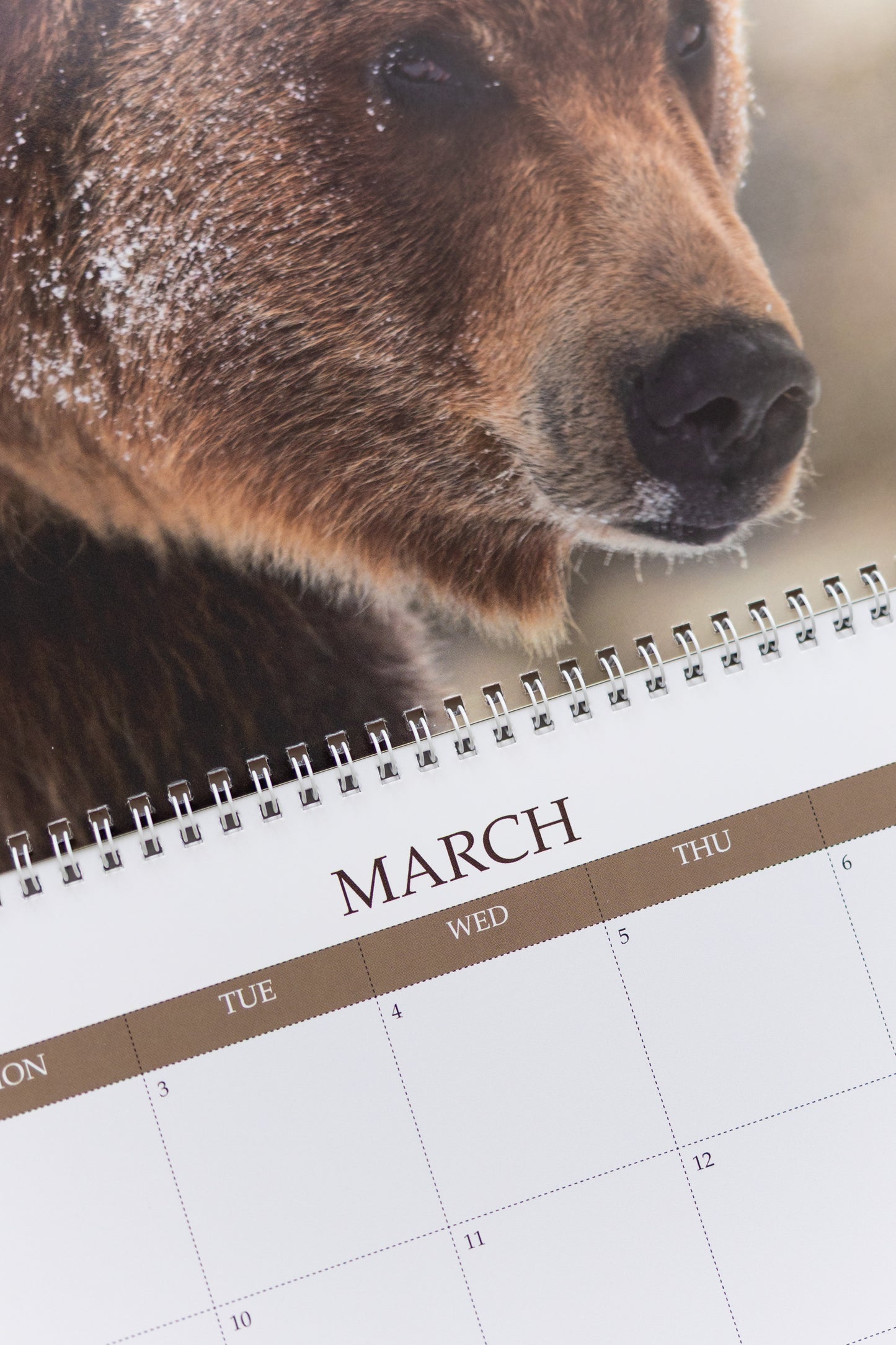 2026 Montana Calendar with Photographs from Brian Powers